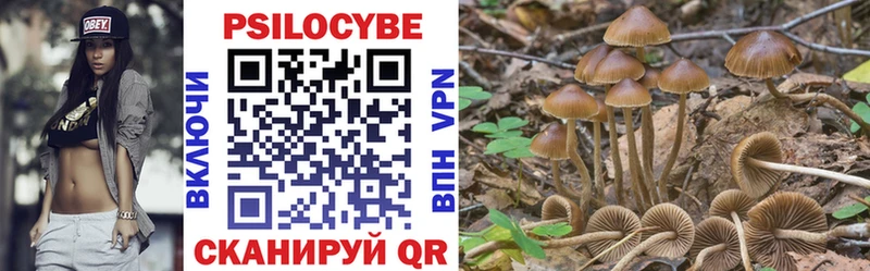 Галлюциногенные грибы Cubensis  Междуреченск 